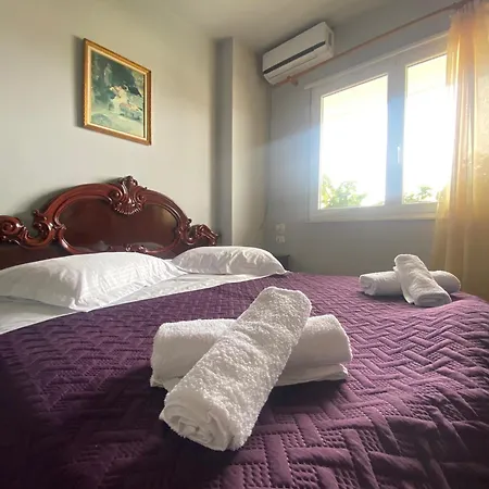 The Night Centre * Szkodra