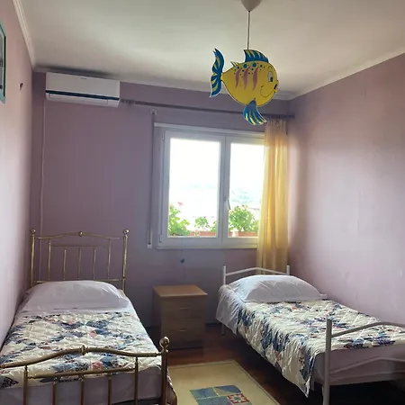 The Night Centre Szkodra