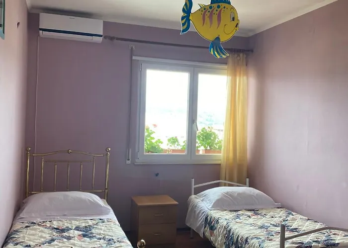 The Night Centre Shkodër